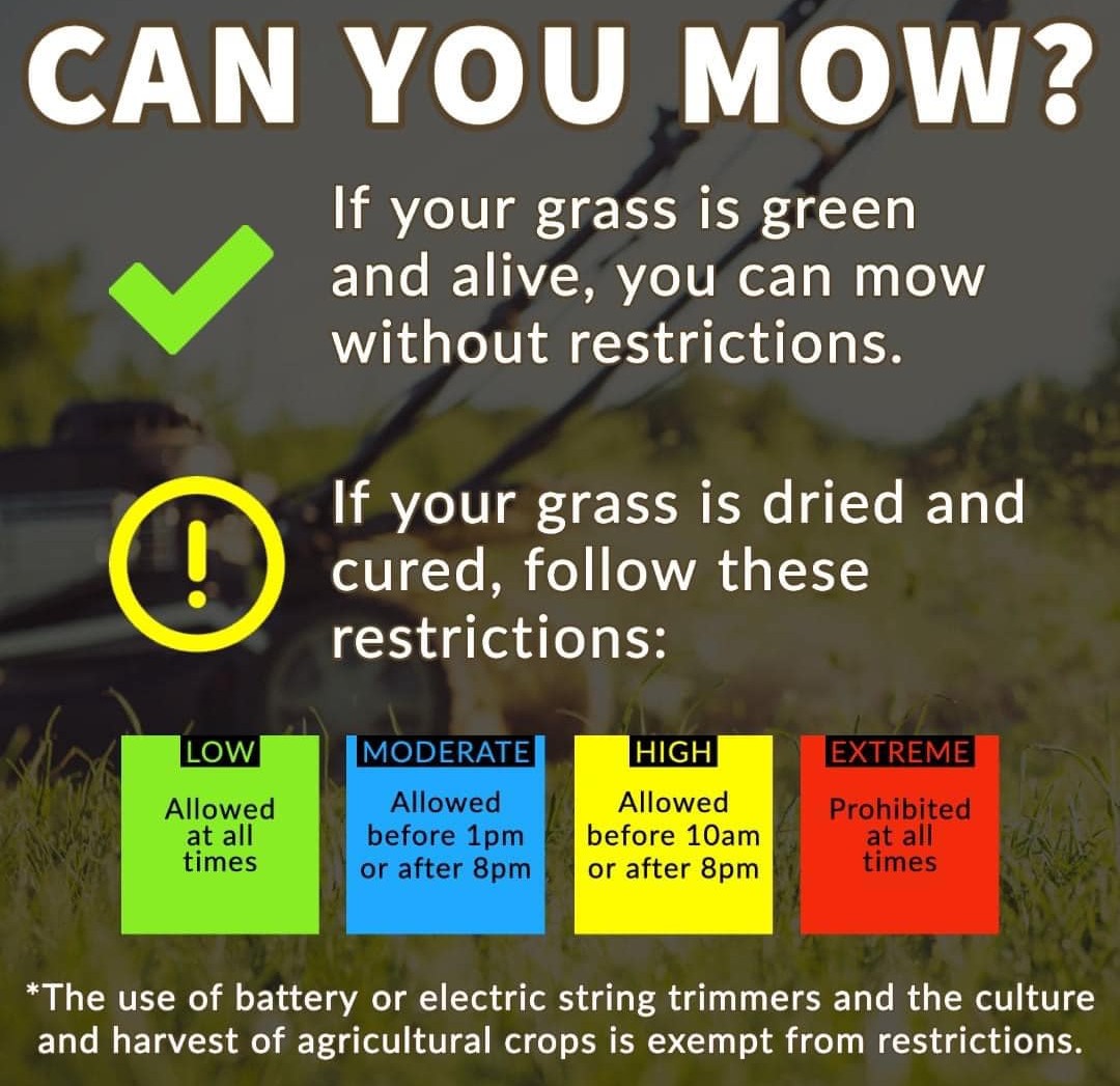 Lawn Mow