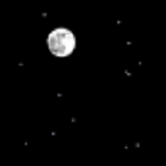 mstcldynite